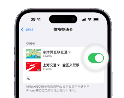 化德apple维修点分享iPhone上更换Apple Pay快捷交通卡手绘卡面 