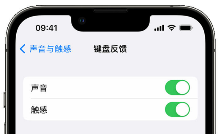 化德苹果手机维修分享iPhone 14触感键盘使用方法 