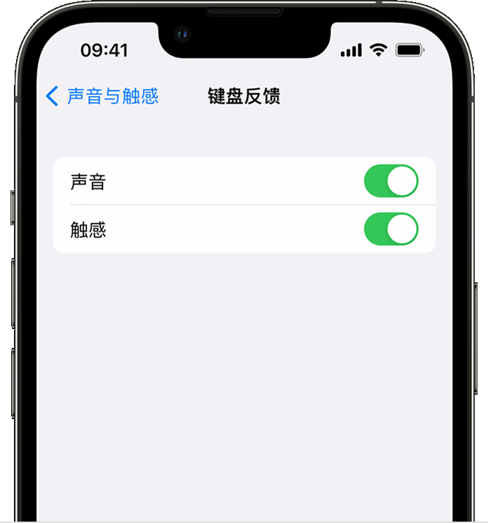 化德苹果14维修店分享如何在 iPhone 14 机型中使用触感键盘 