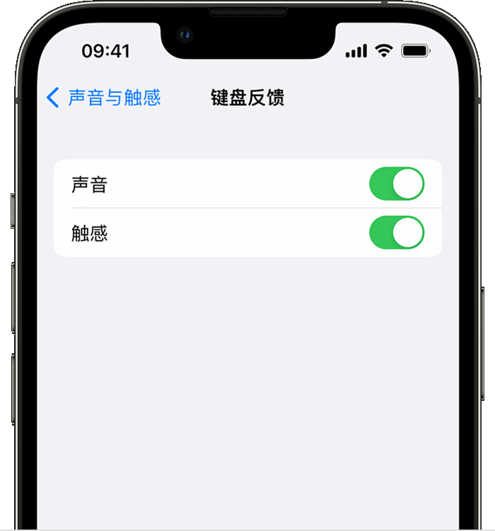 化德苹果14维修分享iPhone 14 系列机型如何开启键盘声音或触感反馈 