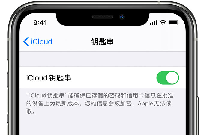 化德苹果手机维修分享在 iPhone 上开启 iCloud 钥匙串之后会储存哪些信息 