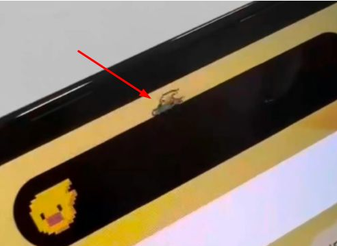 化德苹果14维修分享iPhone 14 Pro Max灵动岛怎么养宠物 