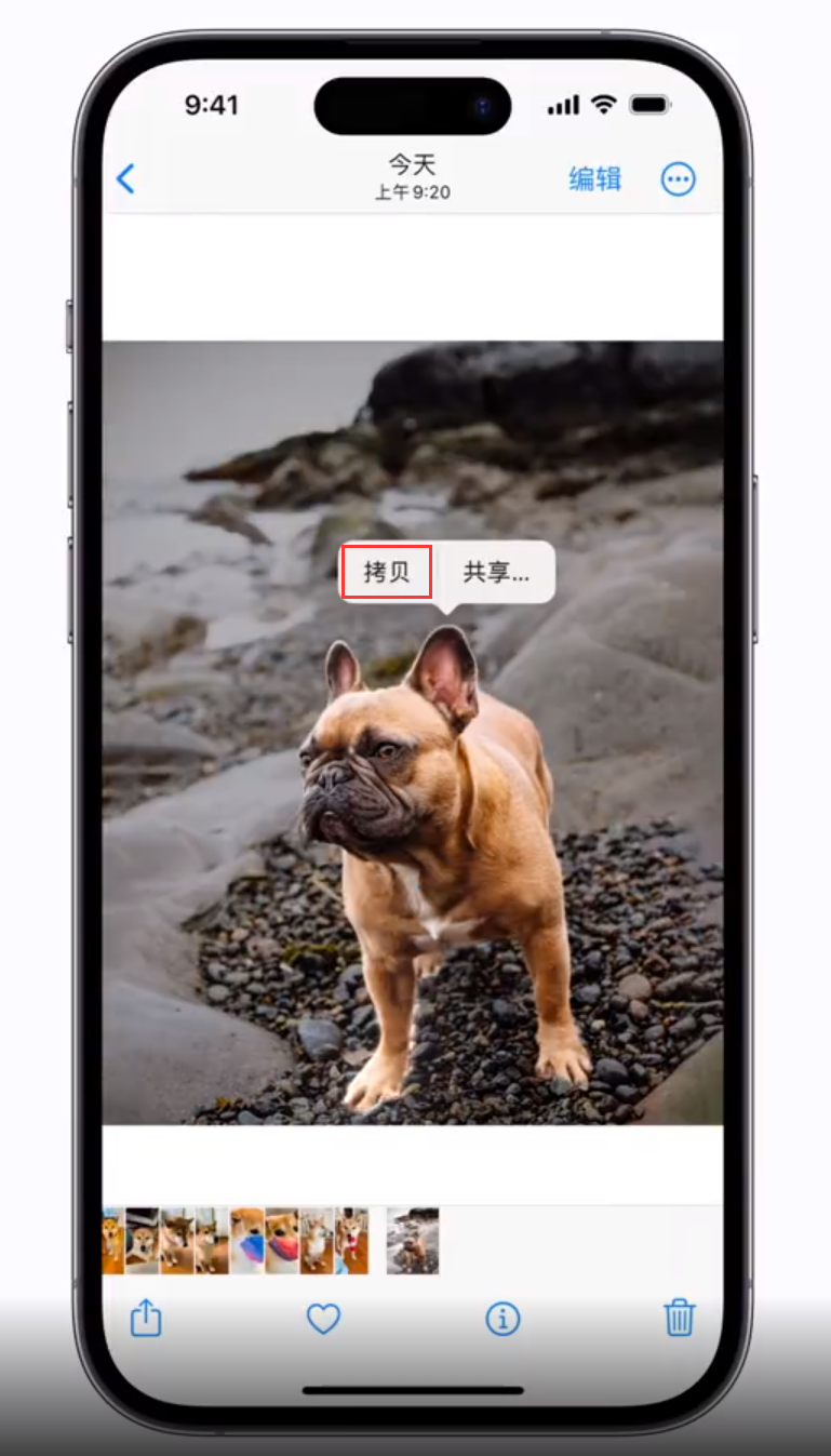 化德苹果手机维修分享 iOS 16 自带一键抠图功能 