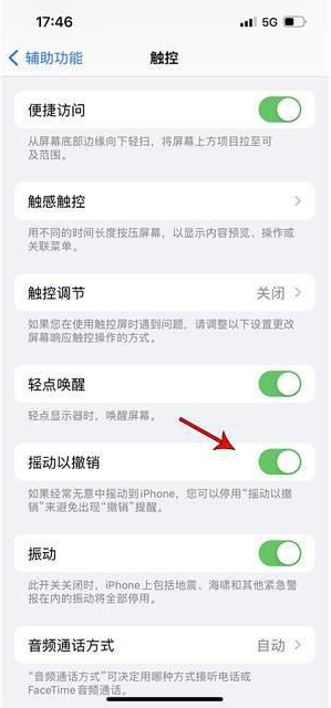 化德苹果手机维修分享iPhone手机如何设置摇一摇删除文字 