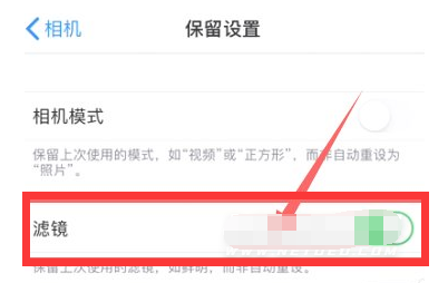 化德苹果13维修分享iPhone13拍照有绿点是怎么回事 