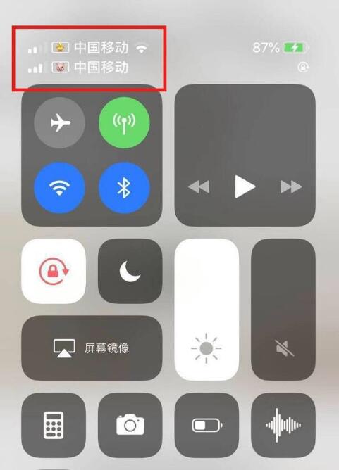 化德苹果手机维修分享为 iPhone 12 双卡设置标签 